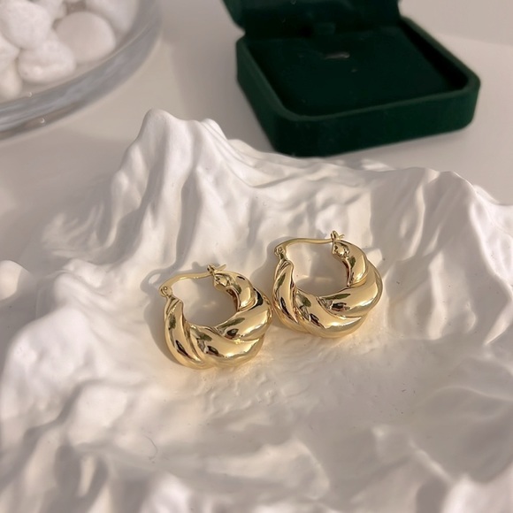 Bold Croissant Hoops Earrings - Picture 1 of 11